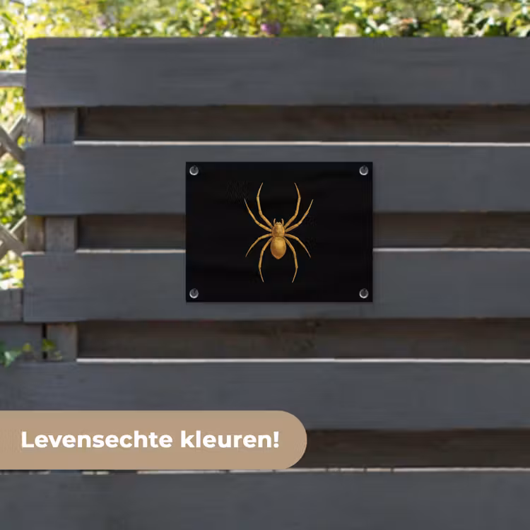 Tuinposter - Spin - Goud - Minimalistisch - Poten — 6
