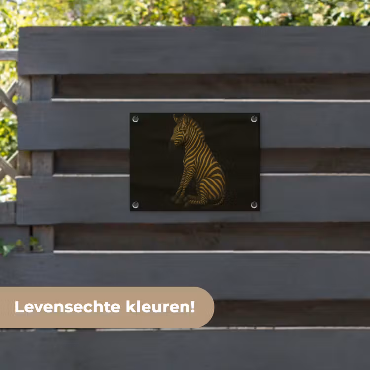 Tuinposter - Zebra - Strepen - Goud — 6