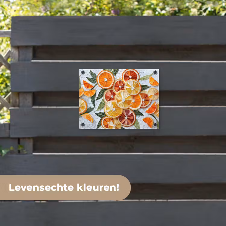 Tuinposter - Schijfjes - Fruit - Oranje - Mozaïek — 6