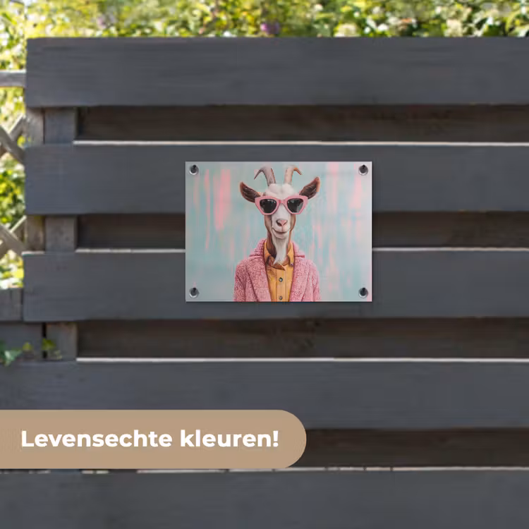 Tuinposter - Zonnebril - Roze - Geit - Horen — 6