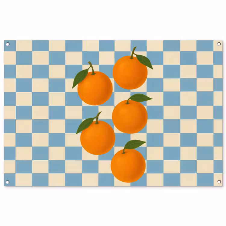 Tuinposter - Sinaasappels - Blaadjes - Geblokt - Blauw — 1