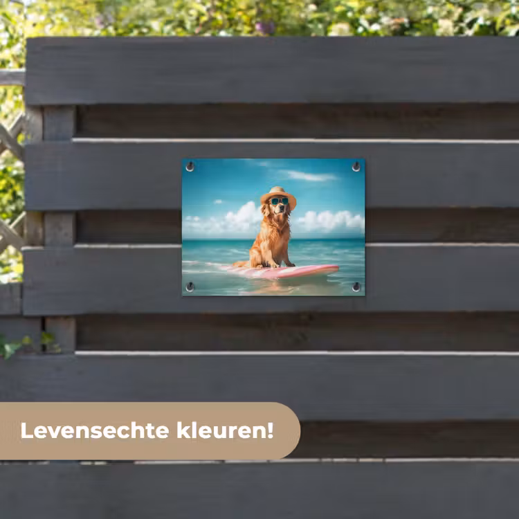 Tuinposter - - Zeewater - Hond - Golden retriever - Zonnebril — 6