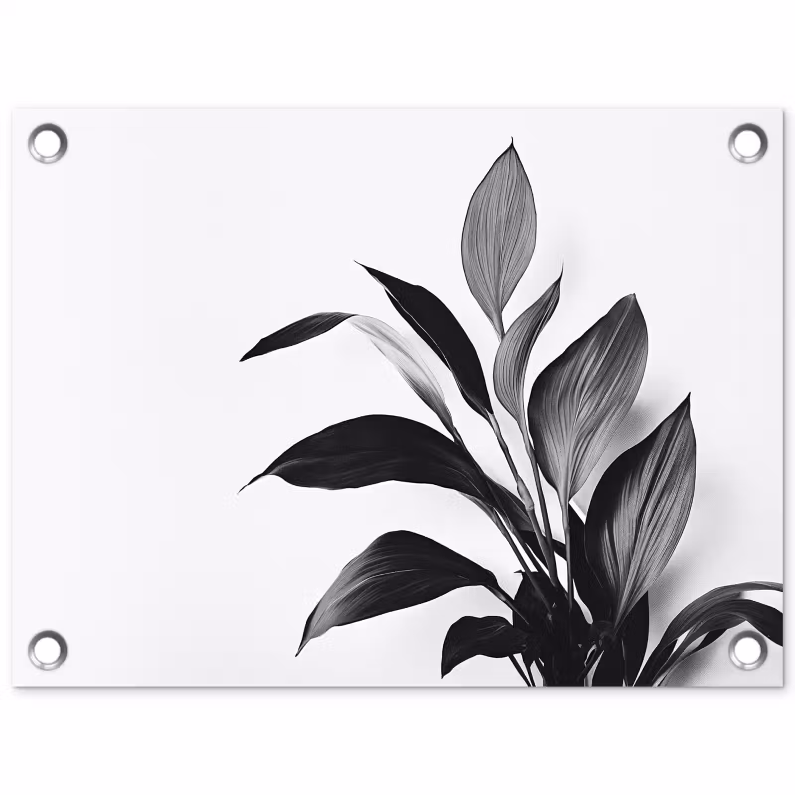 Tuinposter - Plant - Bladeren - Minimalistisch - Zwart — 1