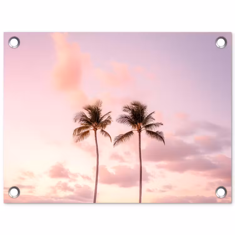 Tuinposter - - Palmbomen - Paars - Wolken - Lucht — 1