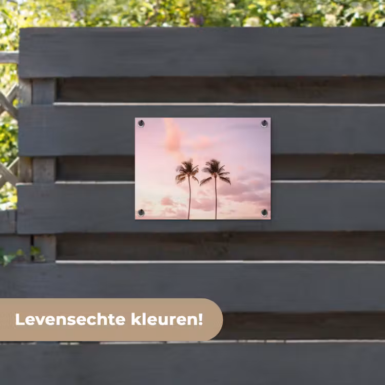 Tuinposter - - Palmbomen - Paars - Wolken - Lucht — 6