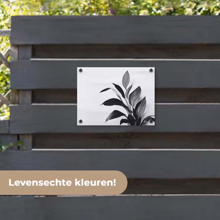 Tuinposter - Plant - Bladeren - Minimalistisch - Zwart — 6