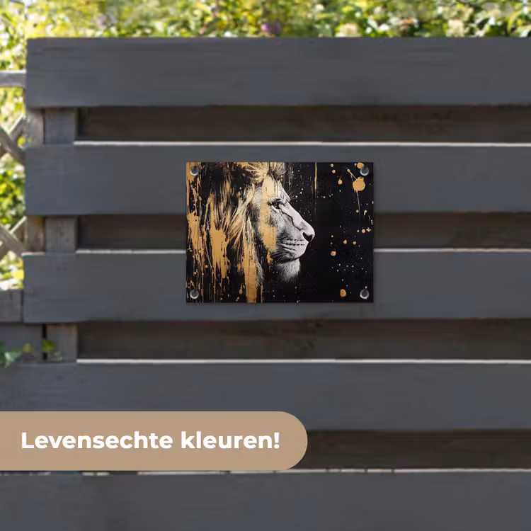 Tuinposter - Portret - Leeuw - Abstract - Goud — 6