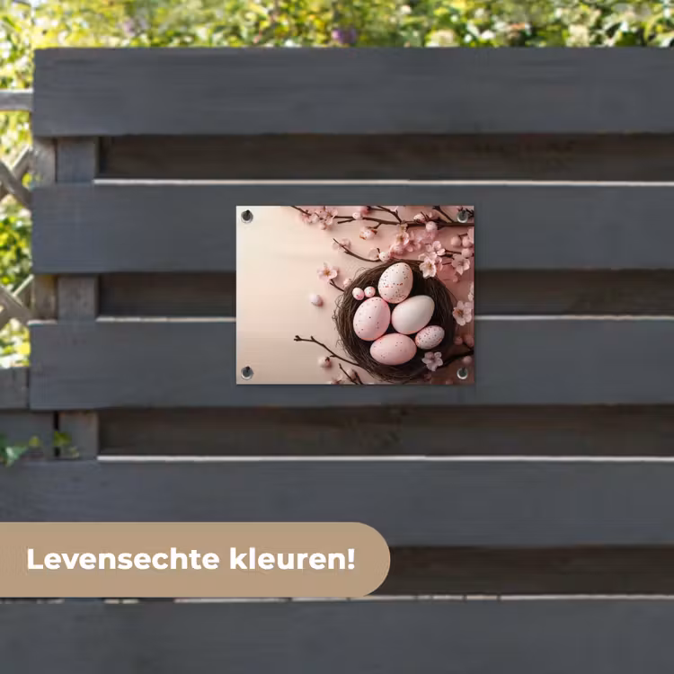 Tuinposter - Roze - Bloesems - Eieren — 6