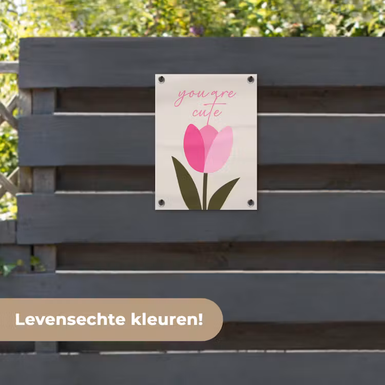Tuinposter - Tulp - Roze - Valentijn - Bloem — 6