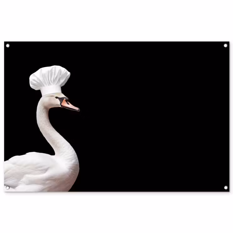 Tuinposter - zwaan-3-2-gigapixel-standard-v2-2x — 1