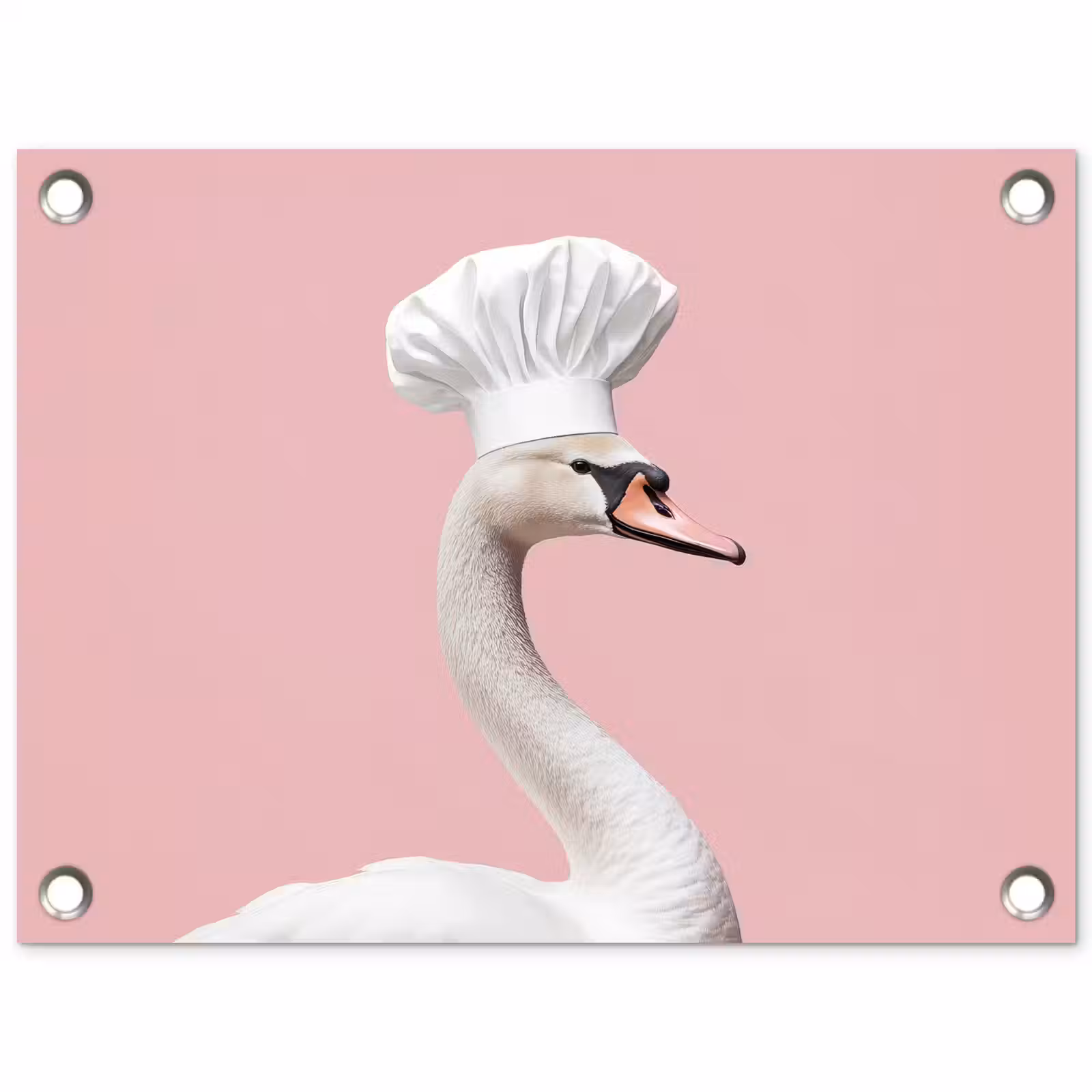 Tuinposter - Zwaan - Koksmuts - Mooi - Klassiek — 1