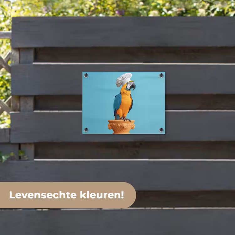 Tuinposter - Papegaai - Koksmuts - Grappig - Vogel — 6