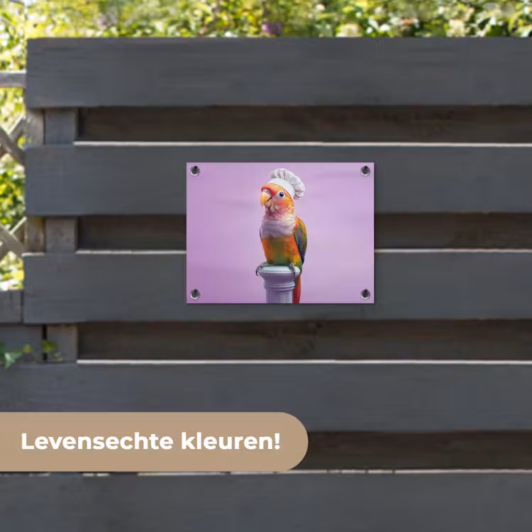 Tuinposter - Papegaai - Koksmuts - Pilaar - Vogel — 6