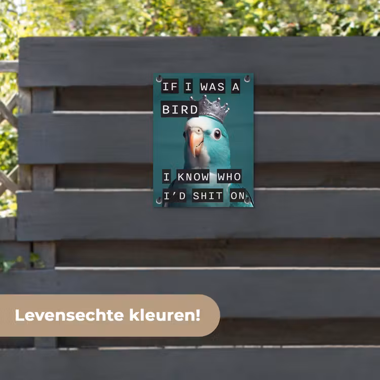 Tuinposter - Parkiet - Turquoise - Quotes - Decoratie — 6