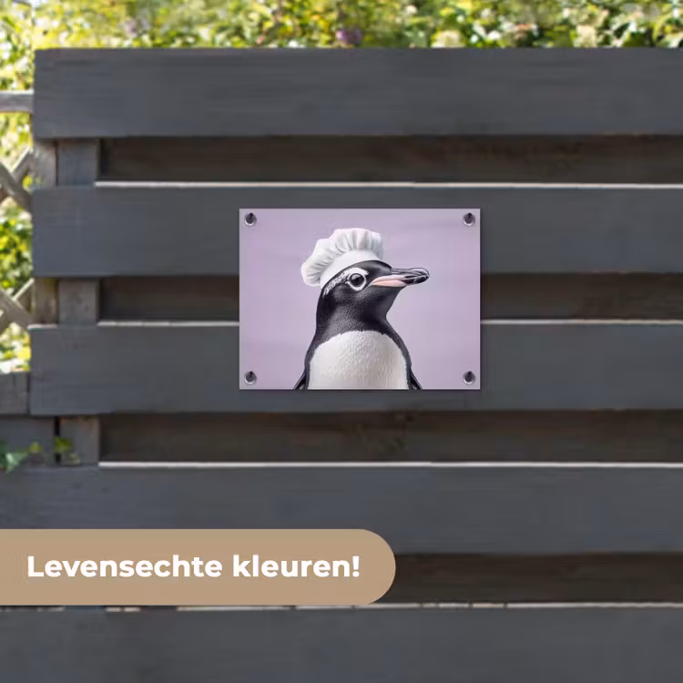 Tuinposter - Pinguïn - Koksmuts - Lief - Paars — 6