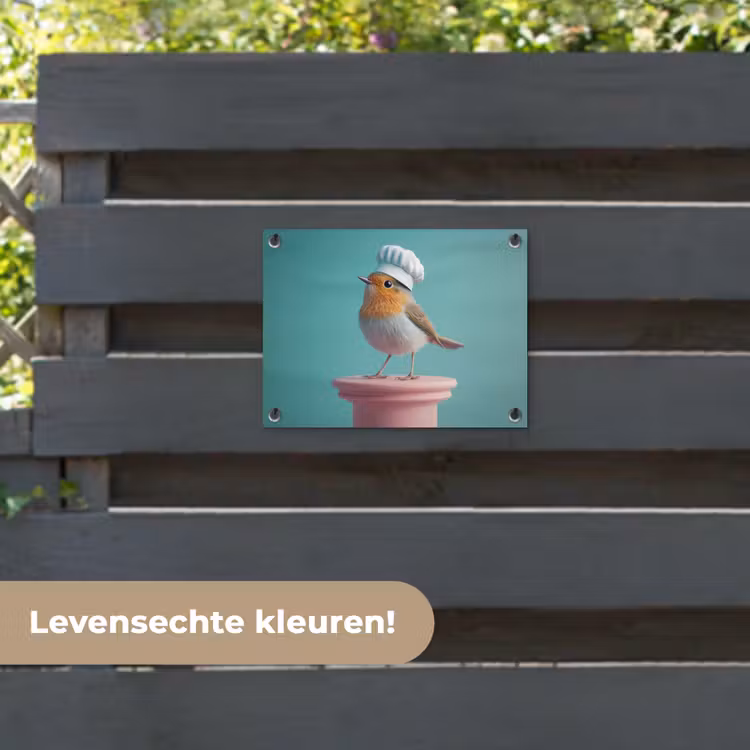 Tuinposter - Roodborstje - Vogel - Koksmuts - Sokkel — 6