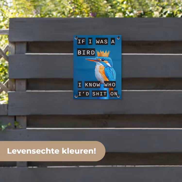 Tuinposter - Vogel - Decoratie - Ijsvogel - Blauw — 6