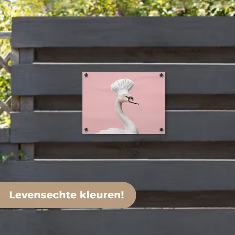Tuinposter - Zwaan - Koksmuts - Mooi - Klassiek — 6