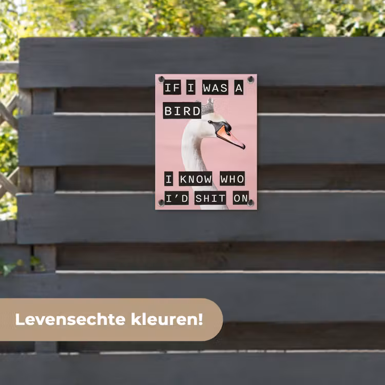 Tuinposter - Zwaan - Vogel - Decoratie - Roze — 6