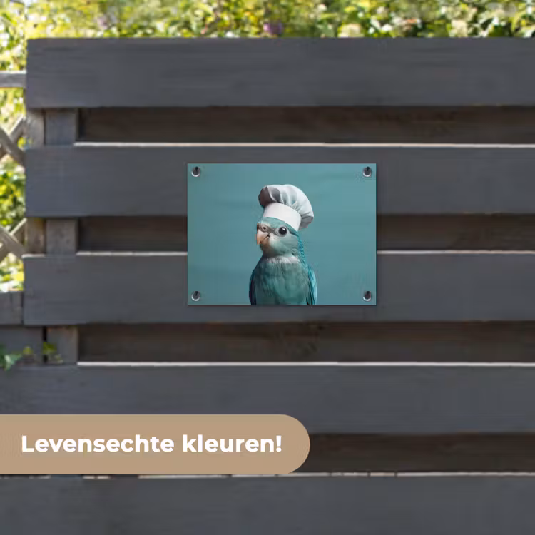 Tuinposter - Parkiet - Vogel - Koksmuts - Cute — 6
