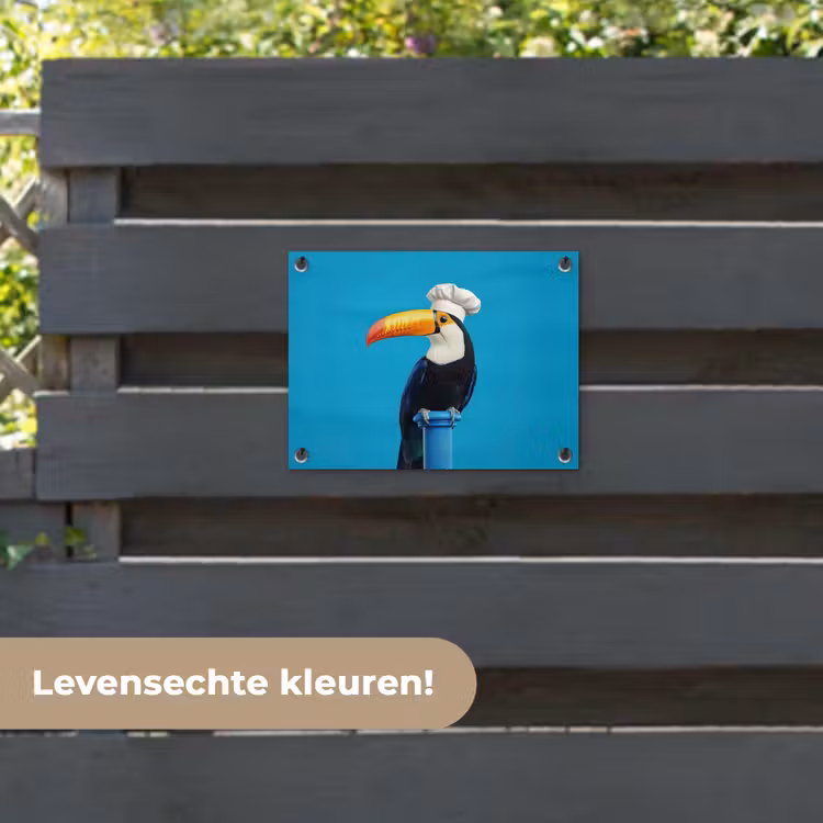 Tuinposter - Tucan - Sokkel - Vogel - Koksmuts — 6