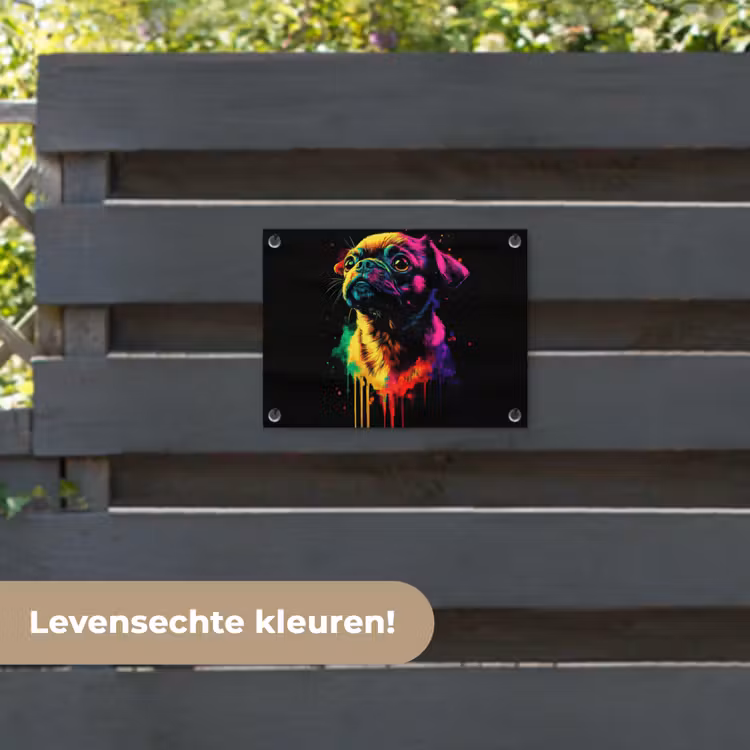 Tuinposter - Puck - Hond - Verf - Kleuren — 6
