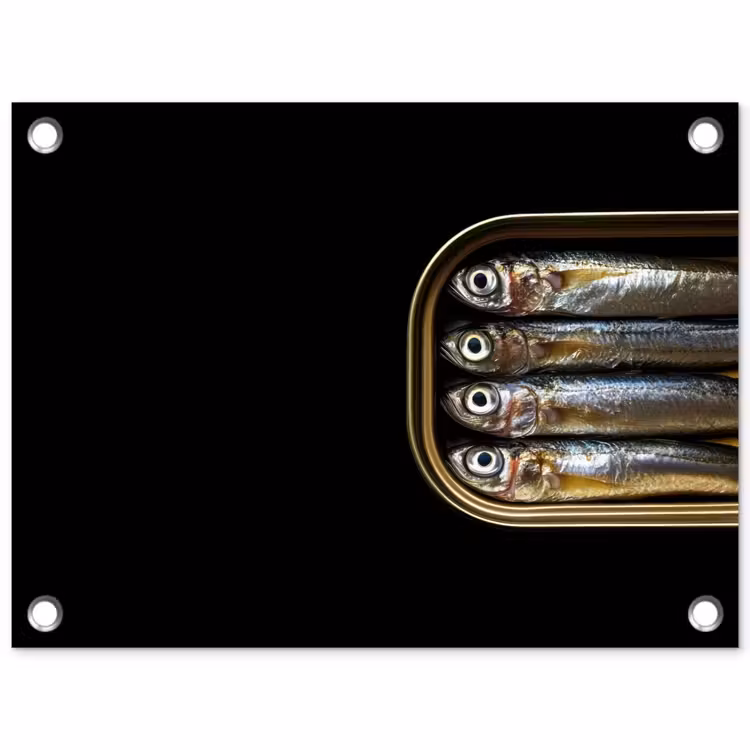 Tuinposter - Sardines - Blik - Zwart - Vissen — 1