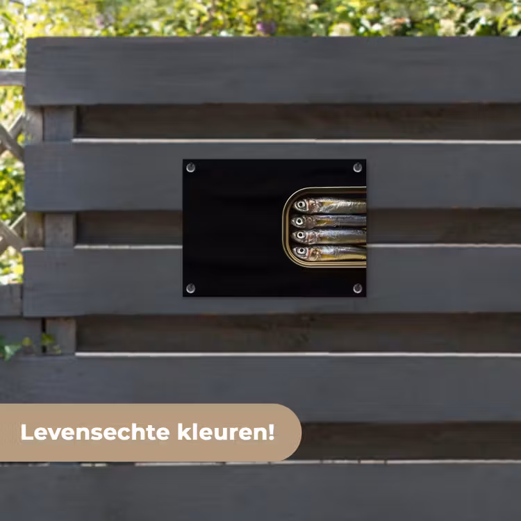 Tuinposter - Sardines - Blik - Zwart - Vissen — 6