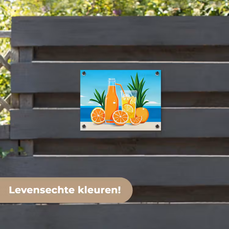 Tuinposter - Sinaasappels - Ijsblokjes -  Zee - Illustratie — 6
