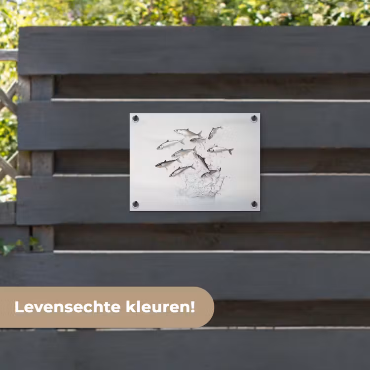 Tuinposter - Vissen - Water - Wit — 6