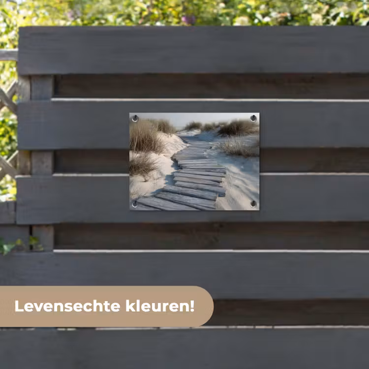 Tuinposter - Pad - Planken - Duinen - Gras — 6