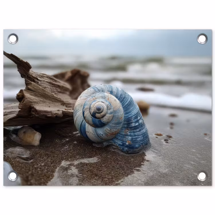 Tuinposter - Schelp - Strand - Blauw - Zee — 1