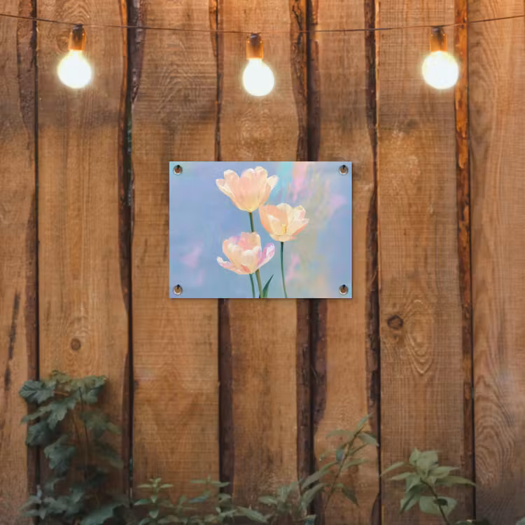 Tuinposter - Tulpen - Roze accenten - Blauw — 3