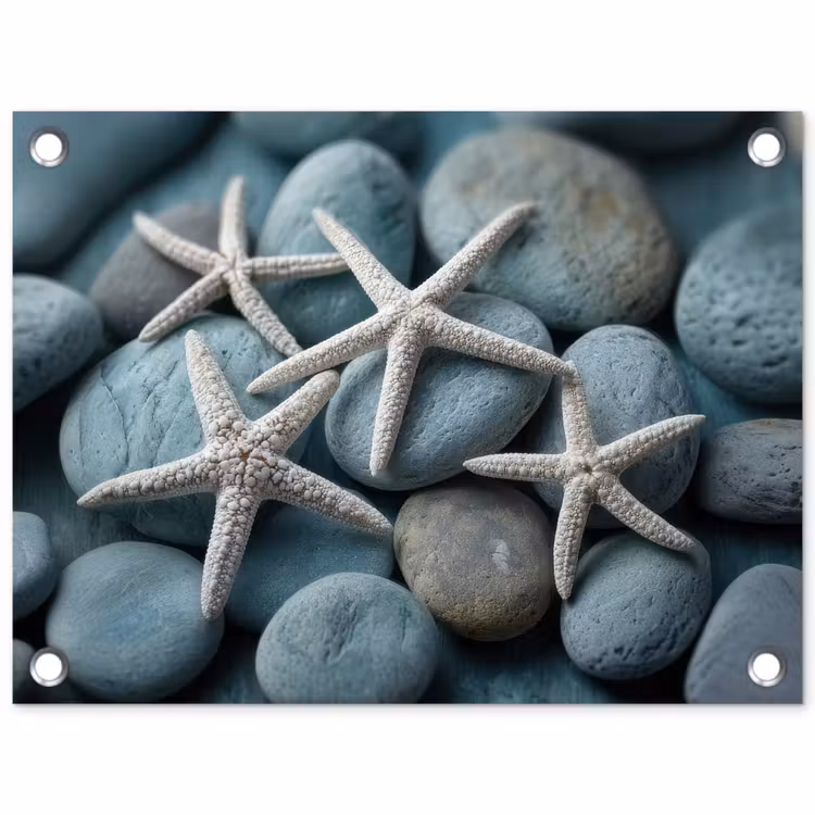 Tuinposter - Zeesterren - Stenen - Wit — 1