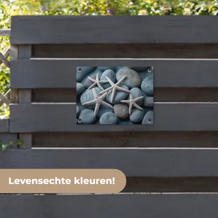 Tuinposter - Zeesterren - Stenen - Wit — 6