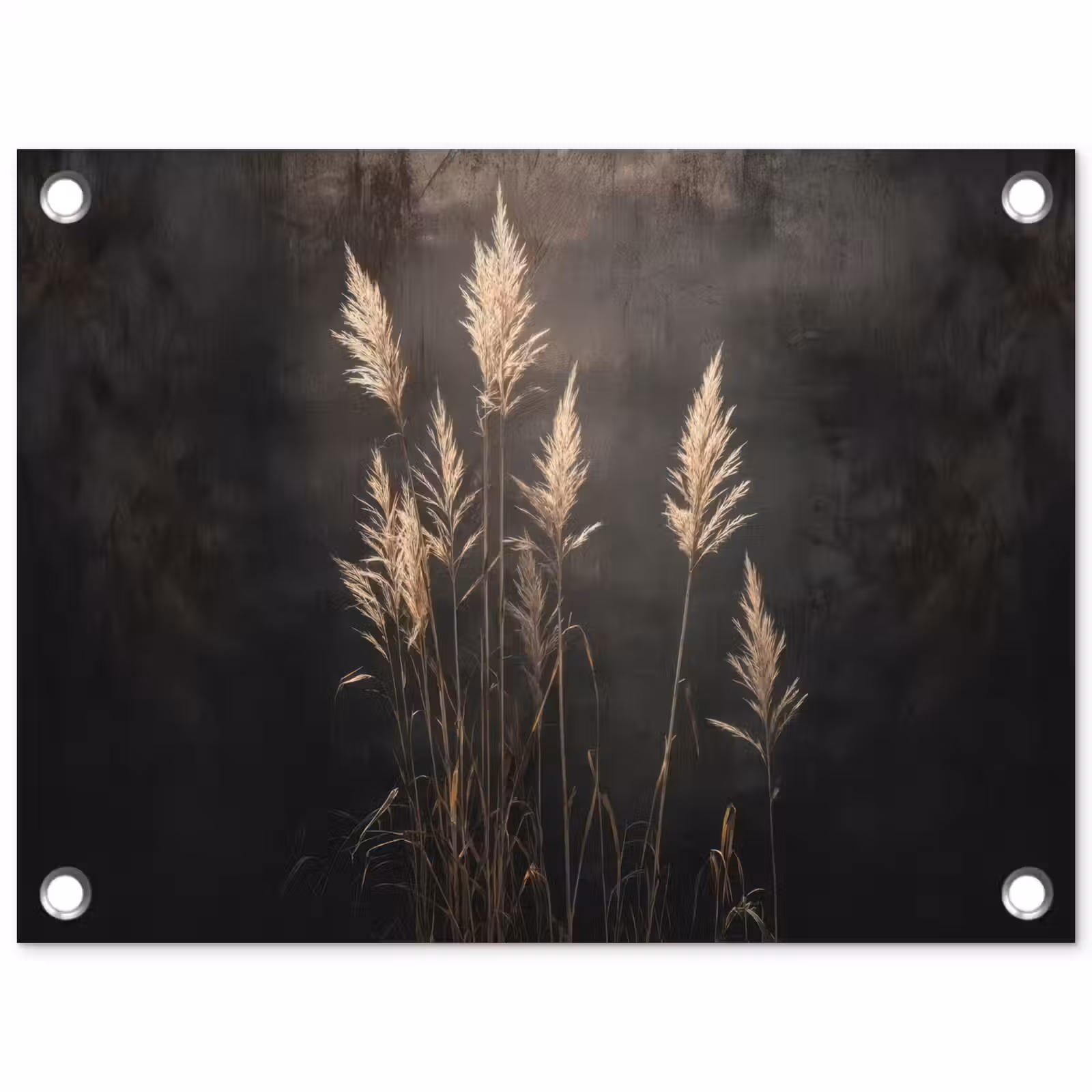 Tuinposter - Siergras - Pluimen - Verlichting - Zwart — 1