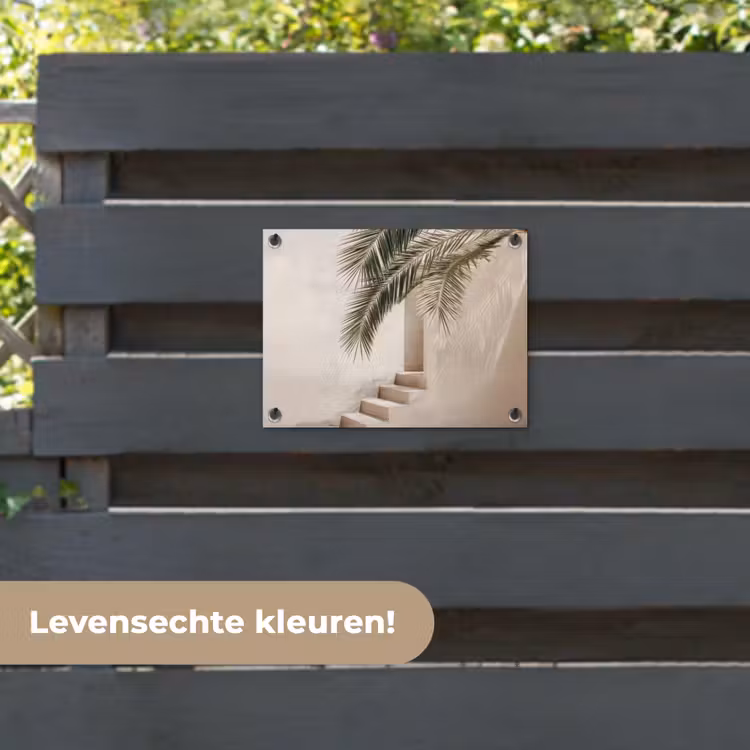 Tuinposter - Palmboom - Schaduw - Trap - Beige — 6