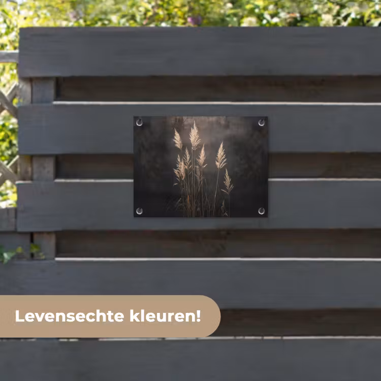Tuinposter - Siergras - Pluimen - Verlichting - Zwart — 6