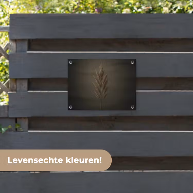 Tuinposter - Tak - Pluimgras - Donkerbruin — 6