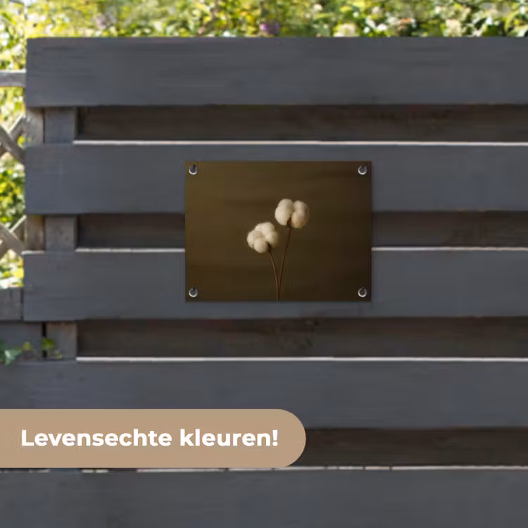 Tuinposter - Takken - Katoen - Wit - Bollen — 6