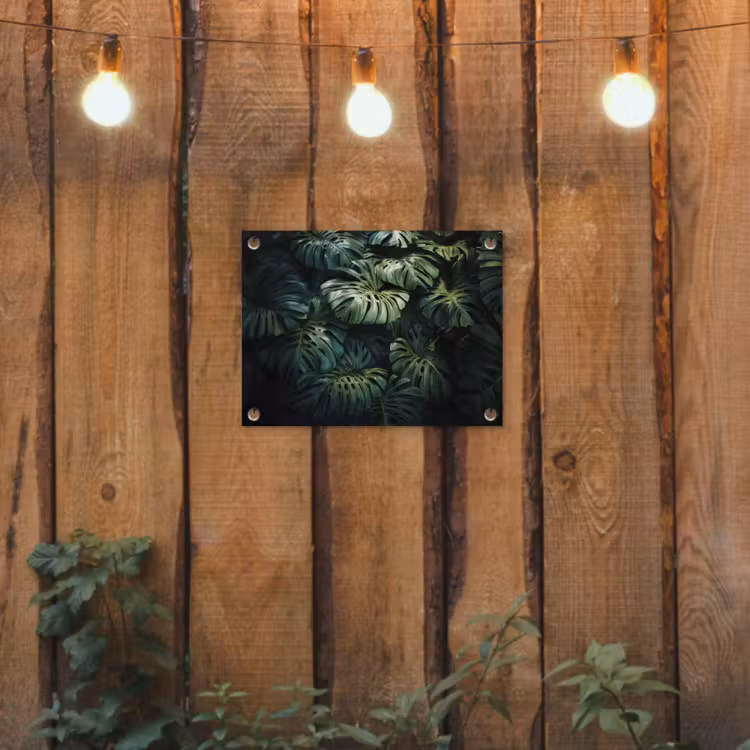 Tuinposter - Plant - Monstera - Lichtinval — 3