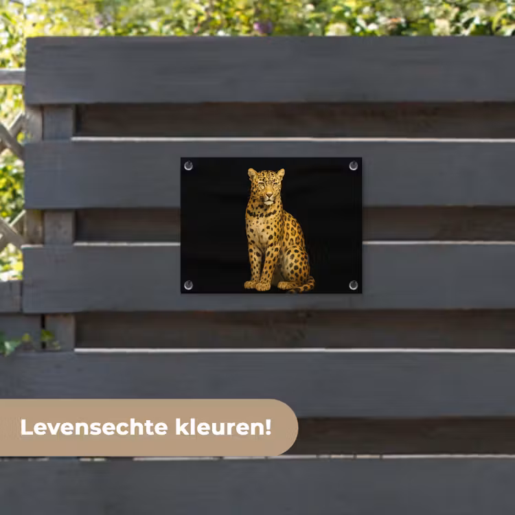 Tuinposter - Panter - Realistisch - Bruin — 6