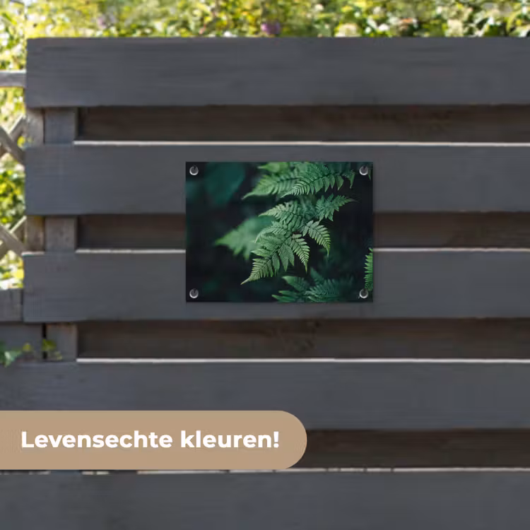 Tuinposter - Varenblad - Groen - Structuur - Wazig — 6