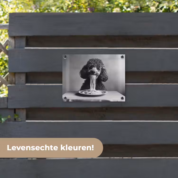 Tuinposter - Poedel - Hond - Zwart - Wit - Schattig - Pasta — 6