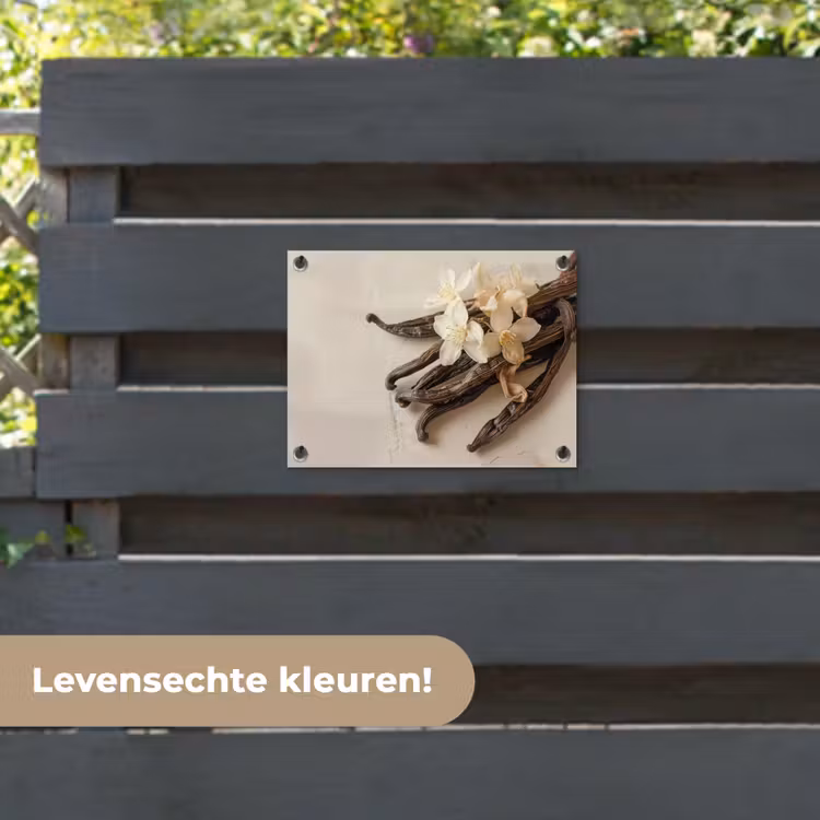 Tuinposter - Vanille - Bloemen - Beige — 6