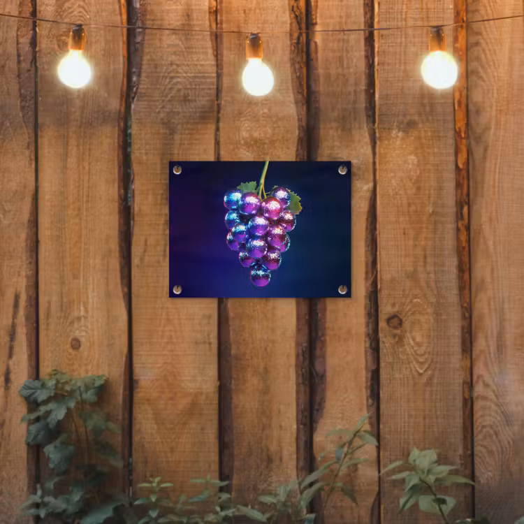 Tuinposter - Paars - Disco - Feest - Druif — 2