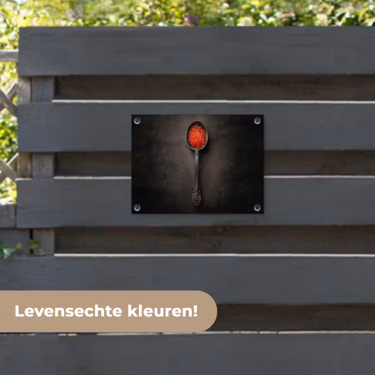Tuinposter - Zwart - Lepel - Caviar — 6