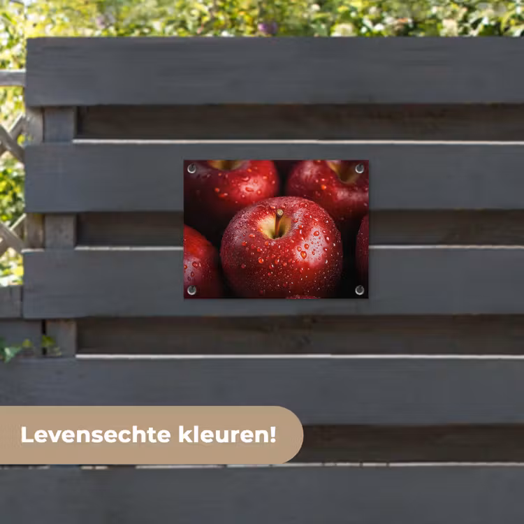 Tuinposter - Rood - Appels - Fruit — 6