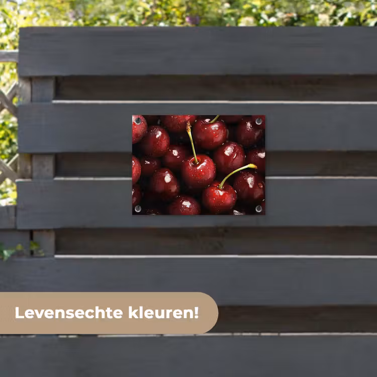 Tuinposter - Rood - Fruit - Kersen — 6