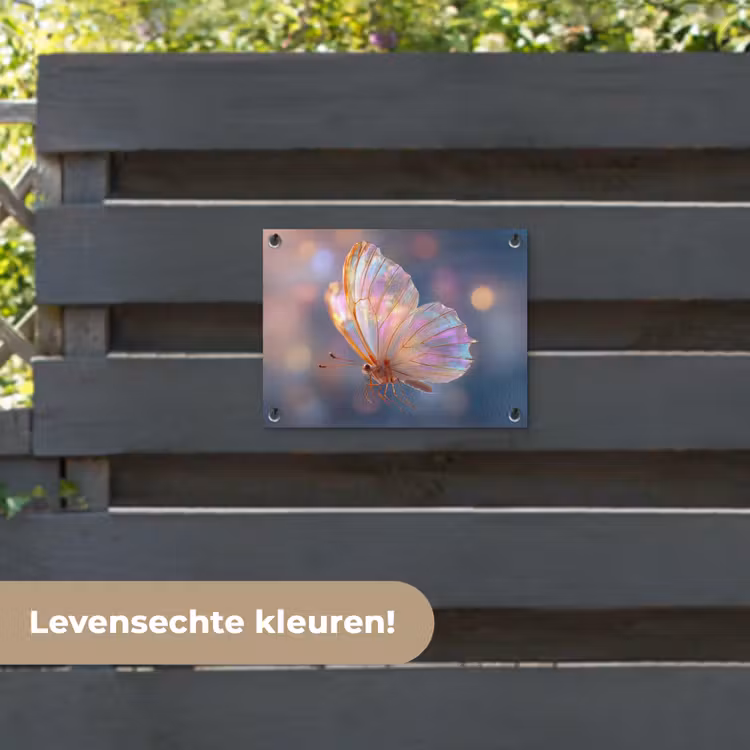 Tuinposter - Vlinder - Vleugels - Pastel - Glinstering — 6